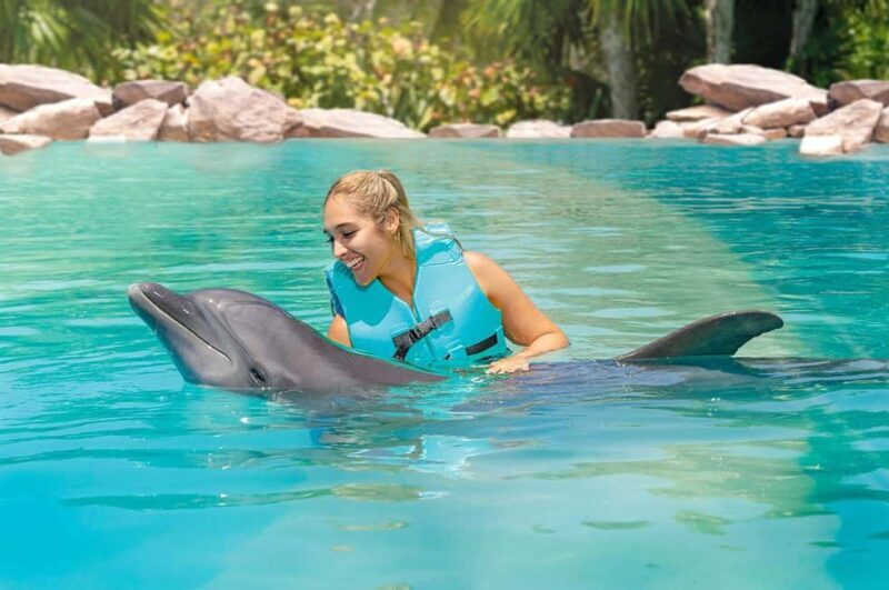 CANCUN: Dolphin Swim Adventure with buffet and soft drinks - Key Points