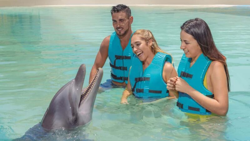 CANCUN: Dolphin Swim Adventure with buffet and soft drinks - How the Tour Unfolds