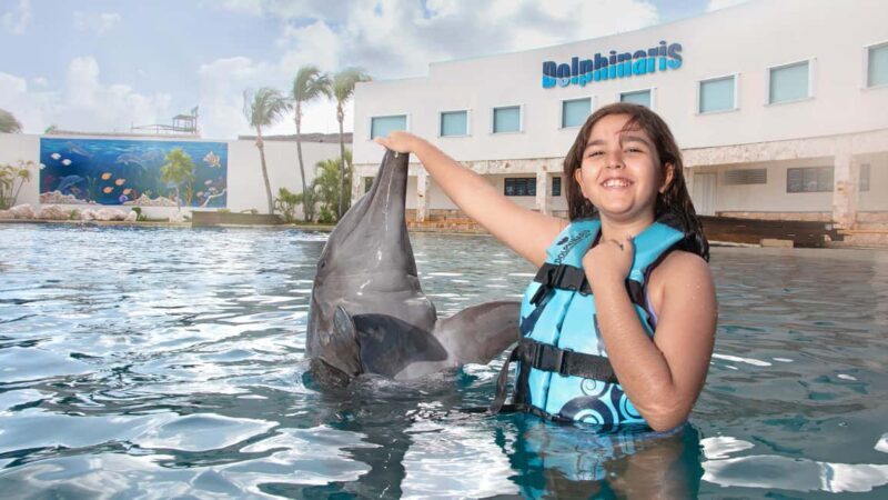 CANCUN: Dolphin Swim Adventure with buffet and soft drinks - Final Thoughts