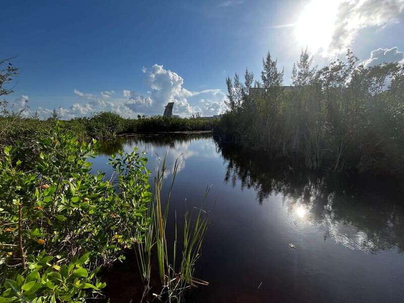 Cancun Downtown Evening Walking Tour - The Sum Up