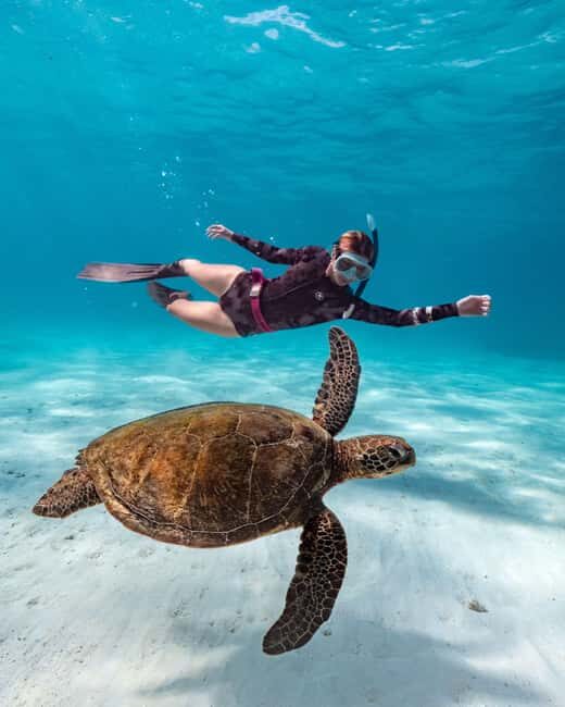 Cancun: Explore Tulum, swim with turtles, cenote, and snorkel in caves - Key Points