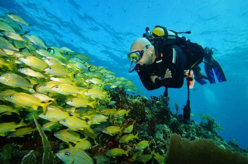CANCUN: FIRST TIME DIVERS CANCUN - The Sum Up: Is It Worth It?