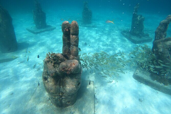 Cancun Fly and Swim Parasailing and Snorkeling Combo Tour - The Sum Up