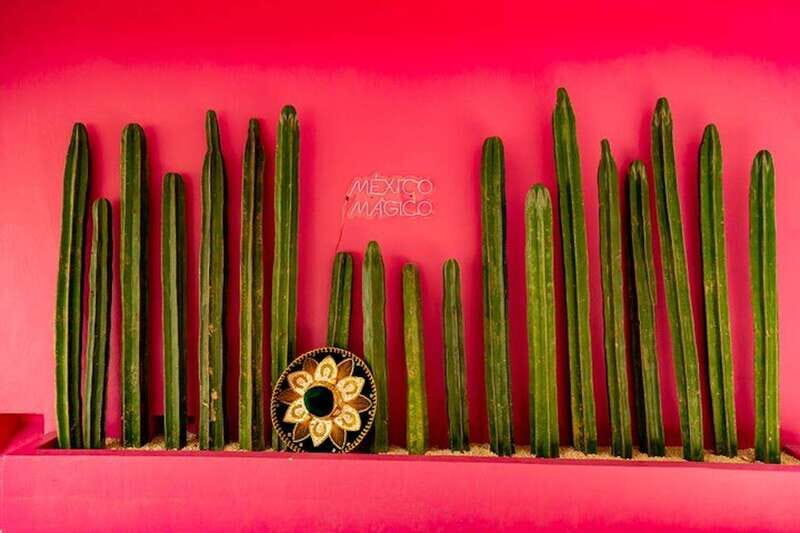 Cancun Guided Sightseeing, Shopping and Tasting Tour - Authentic Experiences and Practical Tips