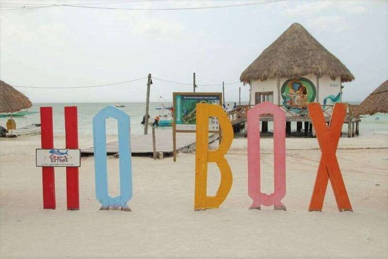 Cancun: Holbox Island Birdwatching and Wildlife Adventure - Detailed Breakdown of the Experience