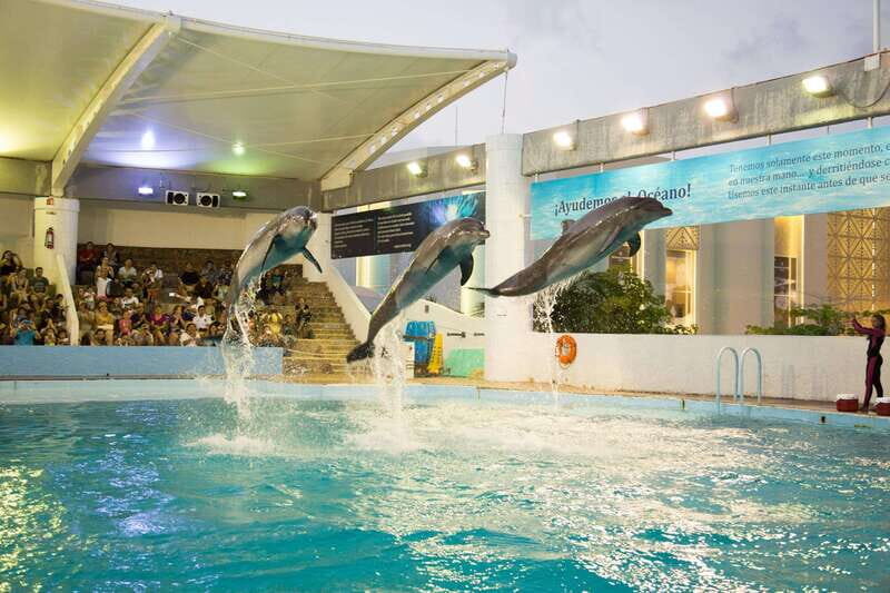 Cancún Interactive Aquarium Admission + Dolphin Presentation - Key Points