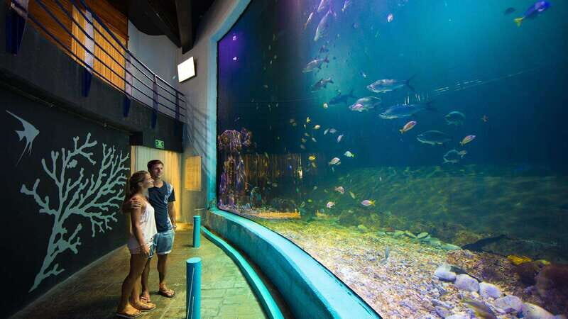 Cancún Interactive Aquarium Admission + Dolphin Presentation - The Sum Up: Is It Worth It?
