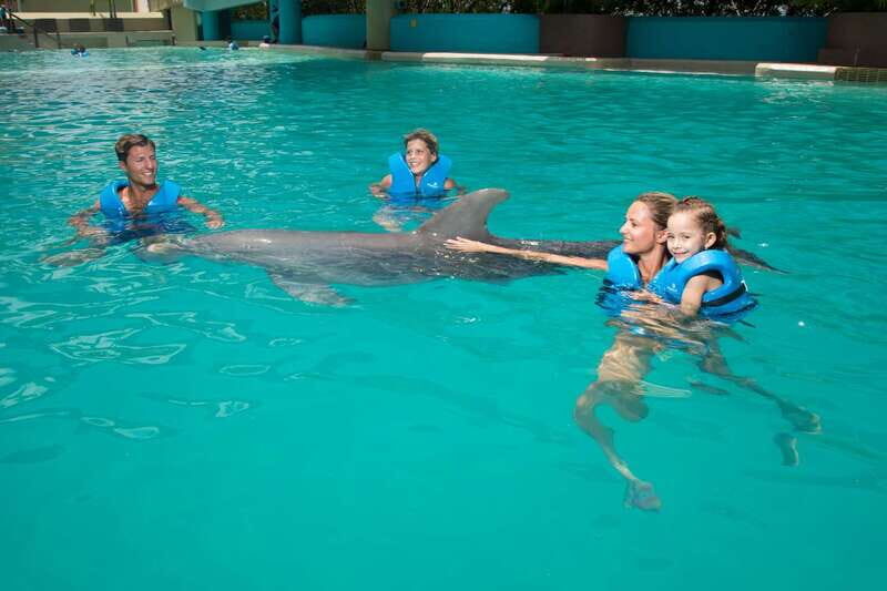 Cancun: Interactive Aquarium - Swim with dolphins Premium - The Real Value of the Tour