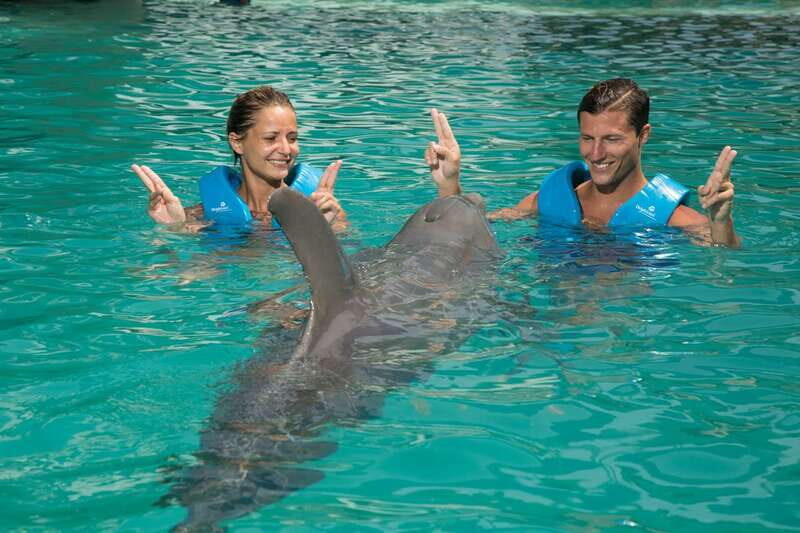 Cancun: Interactive Aquarium - Swim with dolphins Premium - What Do Travelers Say?