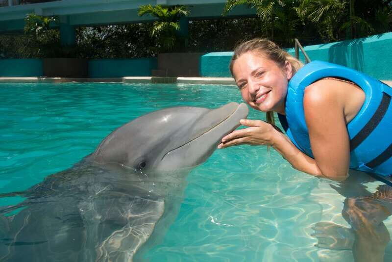Cancun: Interactive Aquarium - Swim with Dolphins Splash - An In-Depth Look at the Experience
