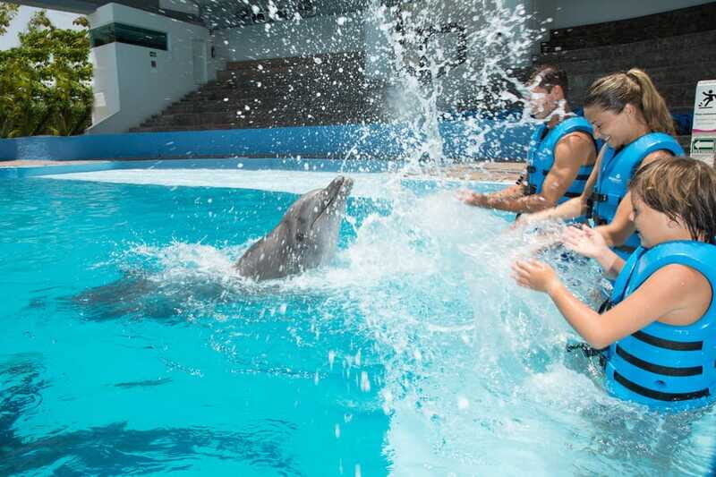 Cancun: Interactive Aquarium - Swim with Dolphins Splash - The Sum Up