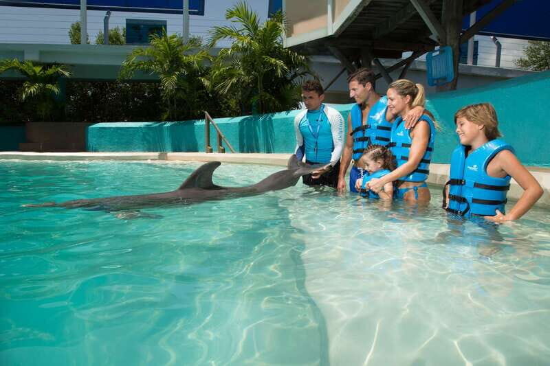 Cancun: Interactive Aquarium Ticket and Swim with Dolphins - Who Will Love This Experience?