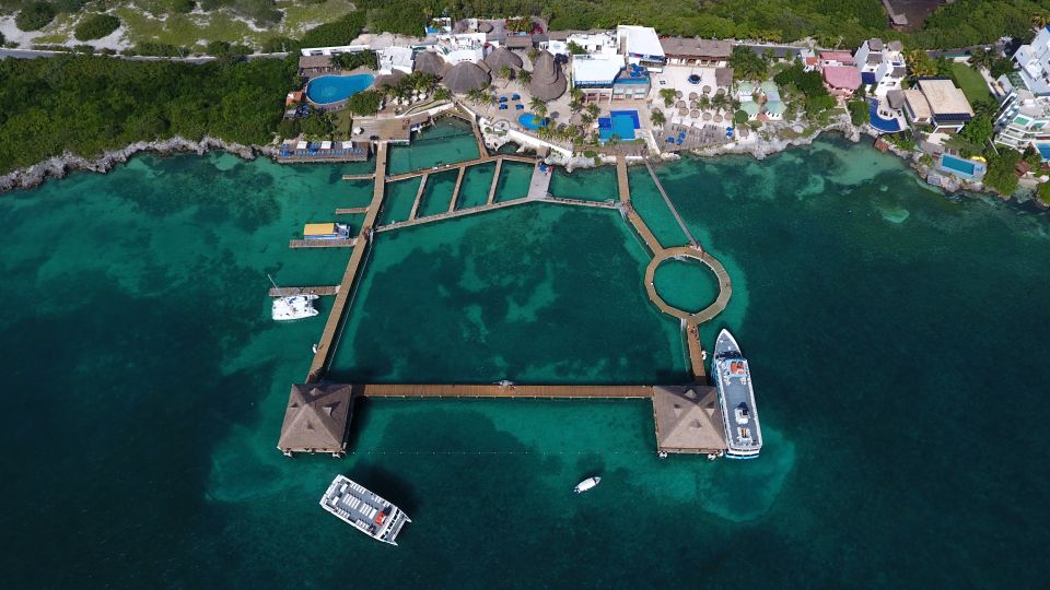 Cancun: Isla Mujeres Catamaran Tour & Swim With Dolphins - Highlights