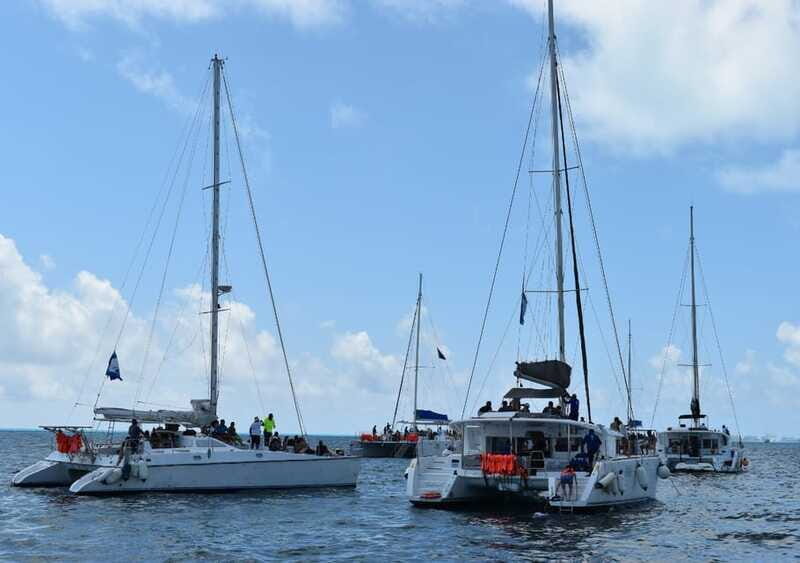 Cancun: Isla Mujeres Only Adults Catamaran, drinks & snorkel - FAQ