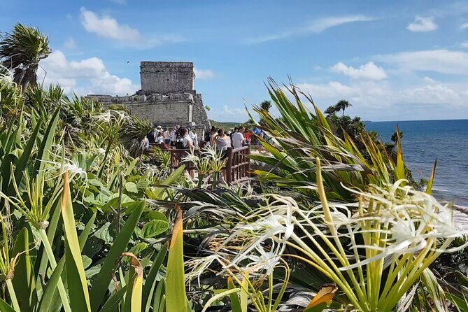 Cancun Jungle Tour: Tulum, Cenote Snorkeling, Ziplining, Lunch - What the Reviews Tell Us