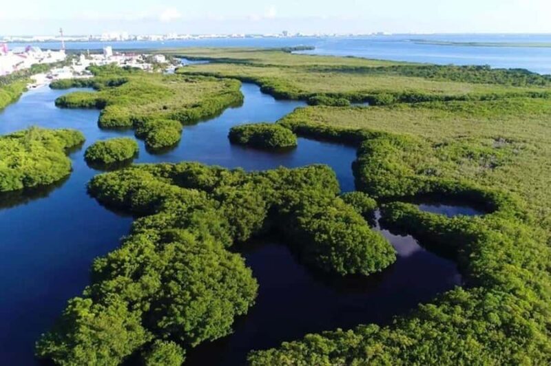 Cancun: Jungle Tour with Speedboat Ride and Snorkeling - What You Can Expect from This Tour