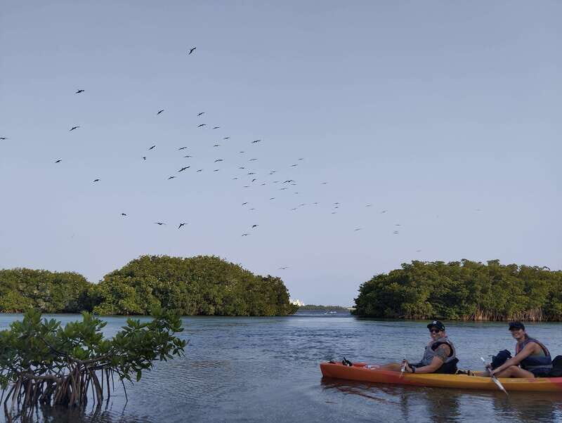 Cancun: Kayaking Tour in Nichupte Lagoon - The Sum Up