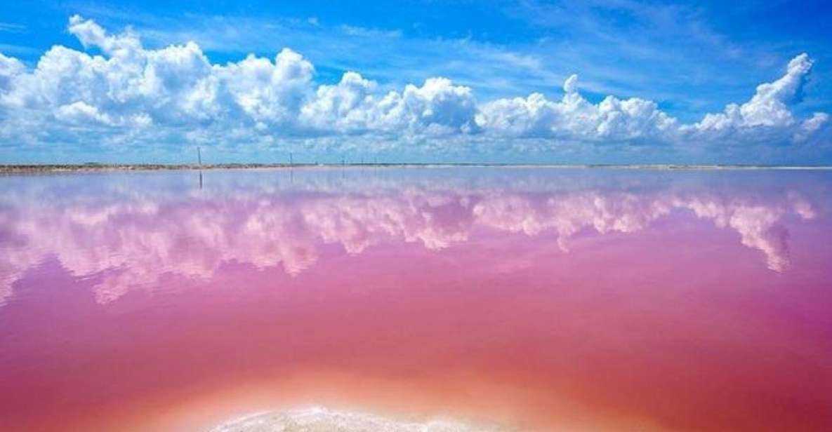 Cancun: Las Coloradas and Rio Lagartos Private Tour - Key Points