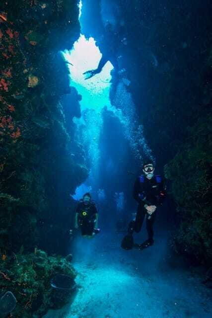 Cancun: Lionfish Expedition Package - Overview of the Itinerary and Experience