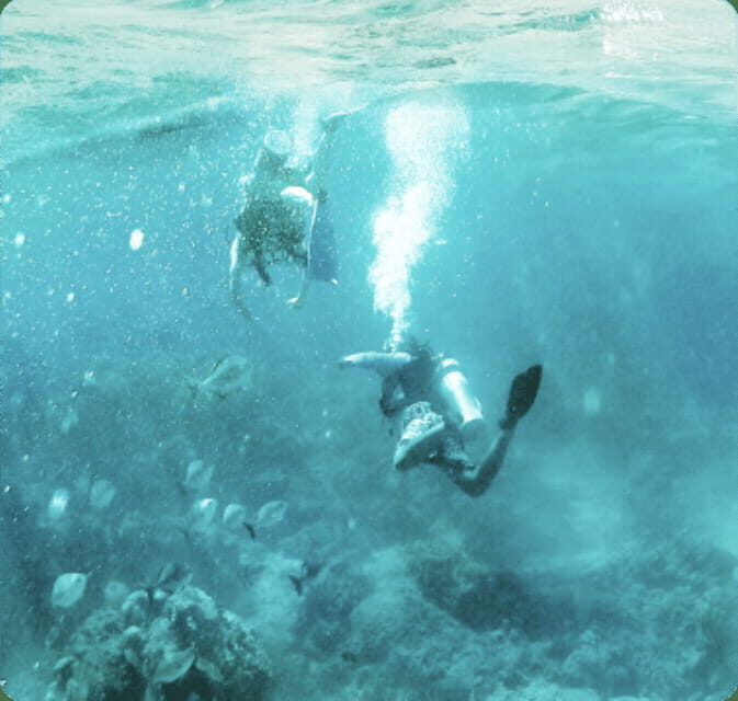 Cancun: Lionfish Expedition Package - FAQ