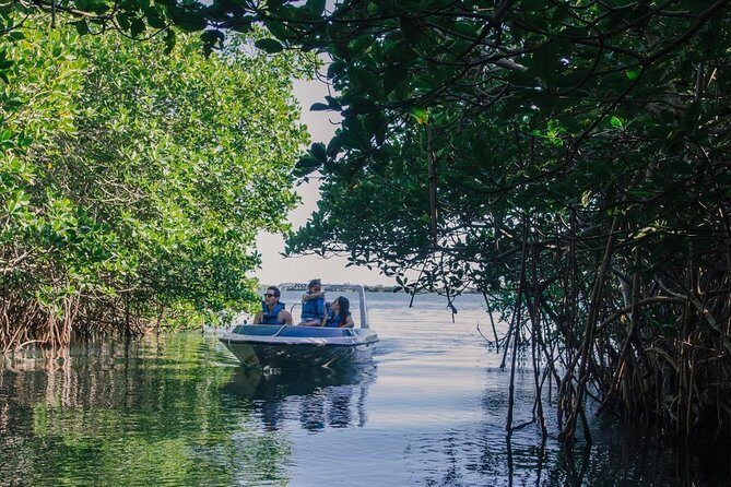 Cancun Mangrove Channel Adventure with Transportation - Key Points