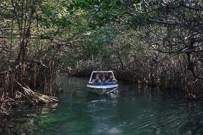 Cancun Mangrove Channel Adventure with Transportation - Who Should Consider This Tour?