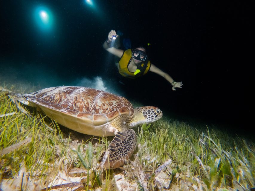 Cancun: Moonlight Snorkeling Tour With Transfer - Key Points