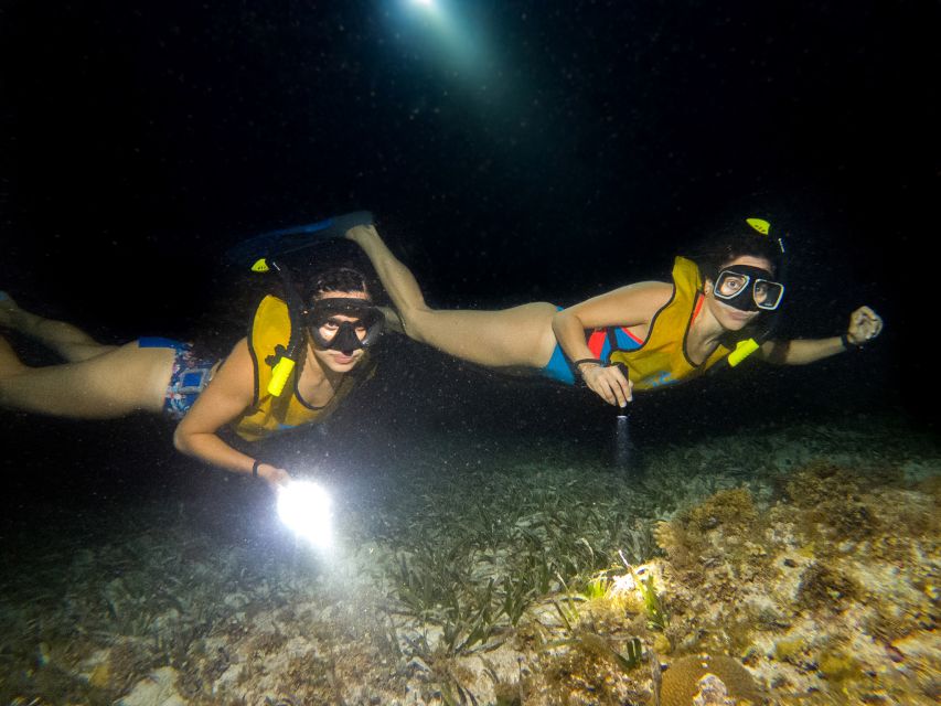 Cancun: Moonlight Snorkeling Tour With Transfer - Pickup and Drop-off Locations