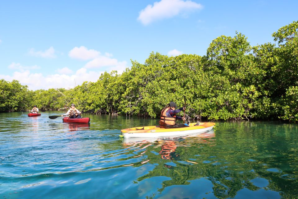 Cancun: Morning Kayak Adventure - Itinerary and Duration