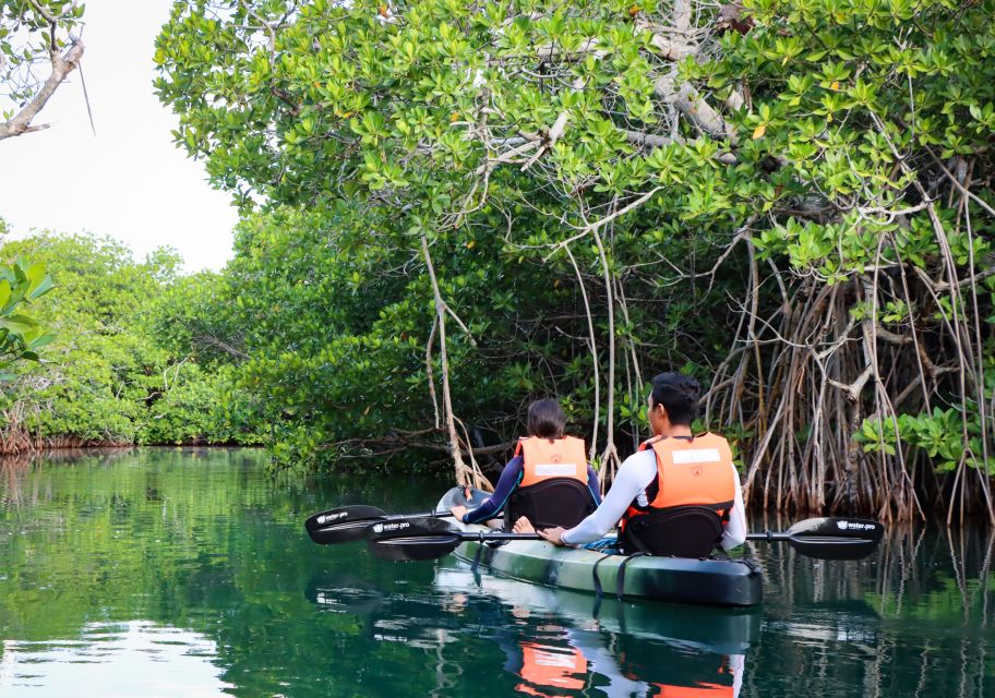 Cancun: Morning Kayak Adventure - Guided Tours and Breaks