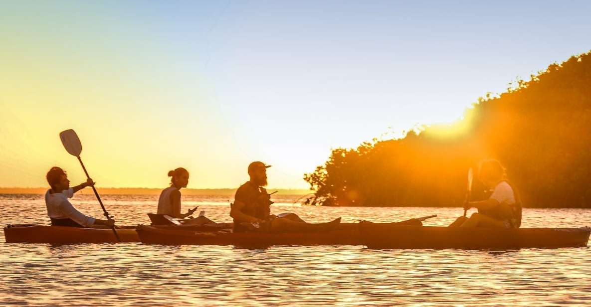 Cancún: Morning or Sunset Kayak Adventure in Nichupte Lagoon - Exploring the Mangrove Ecosystem
