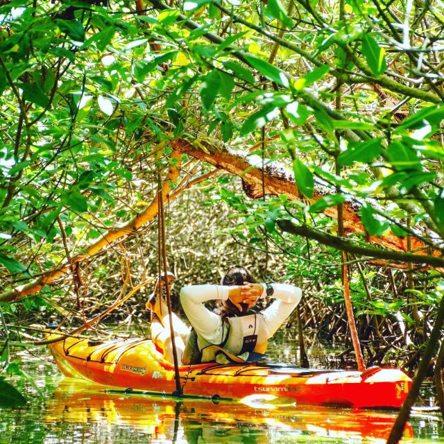 Cancún: Morning or Sunset Kayak Adventure in Nichupte Lagoon - Tour Inclusions and Exclusions