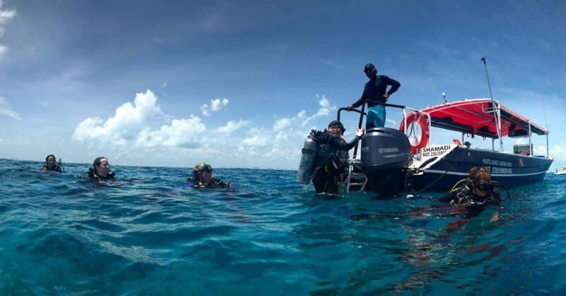 Cancun or Isla Mujeres Reef Diving for Beginners - Cancún or Isla Mujeres Reef Diving for Beginners – A Practical Guide to Your Underwater Adventure