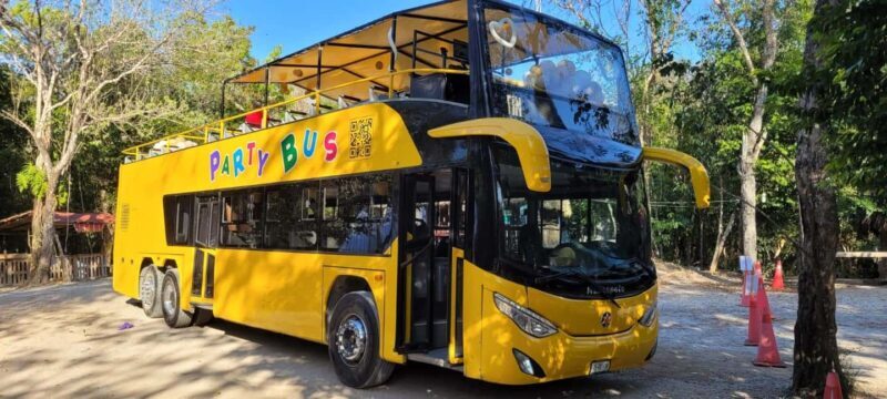 Cancun: Private 3 Hour Party Bus Experience - What Travelers Say