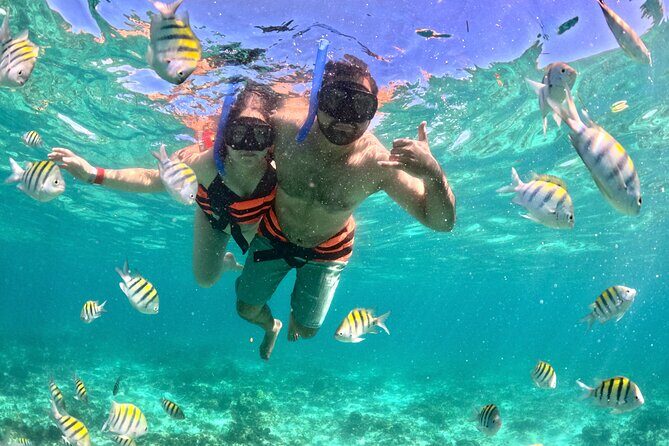 Cancun Private Catamaran Cruise Open Bar & Snorkeling Experience - FAQ