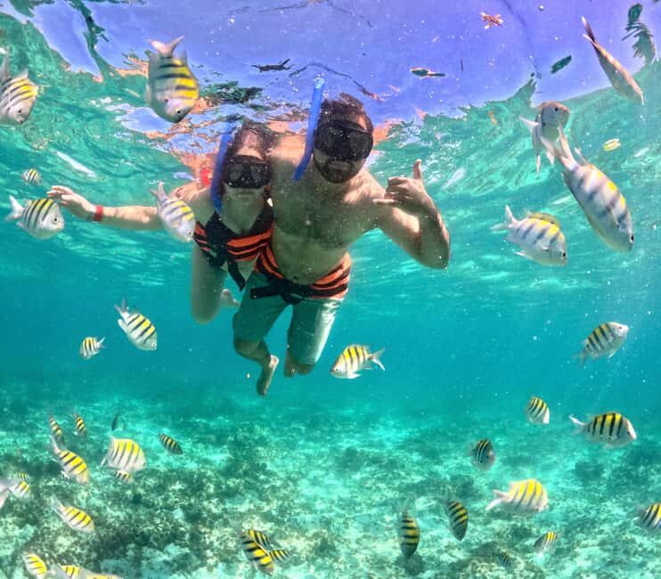 Cancun Private Catamaran  Open Bar & Snorkeling Experience - The Sum Up: A Relaxed, All-Inclusive Day on the Water