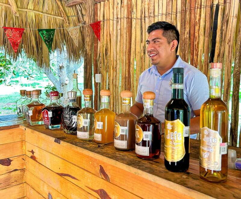 Cancun: Private Chichen Itza Tour, Cenote Swim, & Lunch - Introduction: A Closer Look at the Cancun Private Chichen Itza Tour