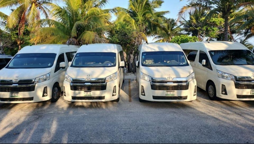 Cancun: Private Transportation to Holbox Island - Key Points