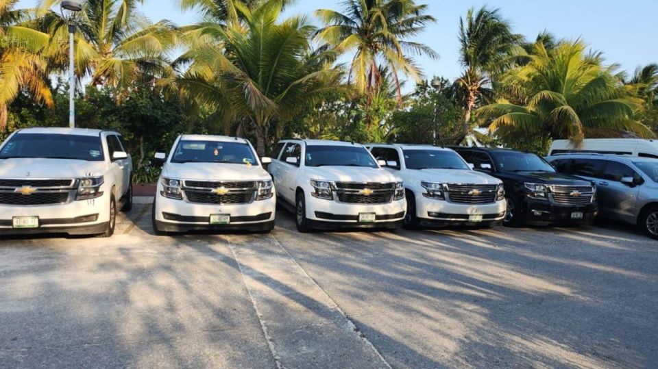 Cancun: Private Transportation to Holbox Island - Booking Information