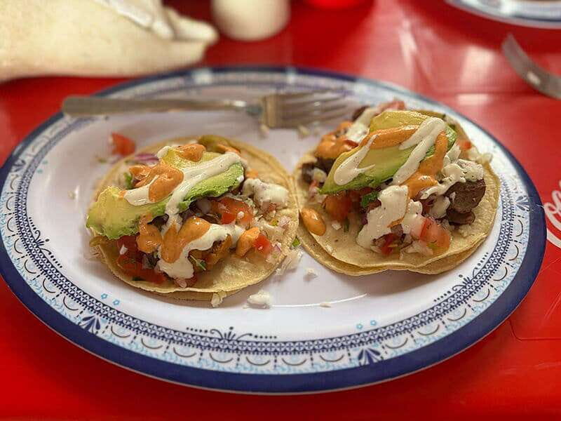 Cancún: Puerto Morelos City & Taco Tour - An In-Depth Look at the Tour Experience