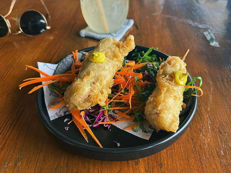 Cancún: Puerto Morelos City & Taco Tour - Who Will Enjoy This Tour?