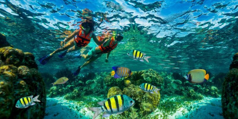 Cancún: Puerto Morelos Reef Snorkeling Tour & Seaside Lunch - Key Points