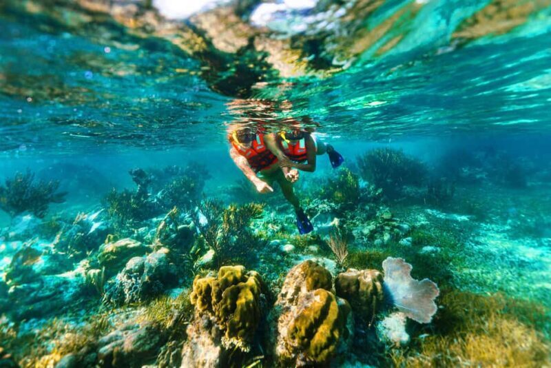 Cancún: Puerto Morelos Reef Snorkeling Tour & Seaside Lunch - FAQ