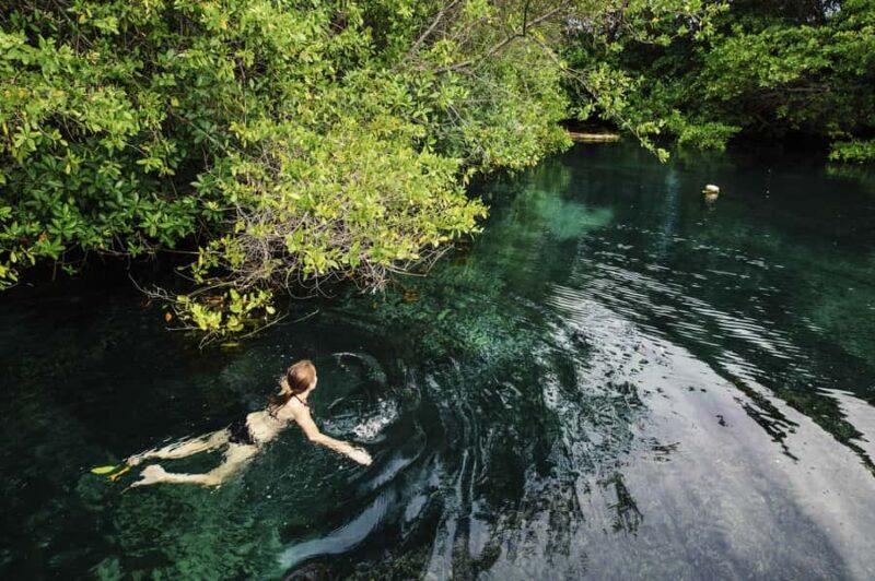 Cancun: Quad adventure, ziplines, and a swim in a jungle cenote - An Overview of the Adventure