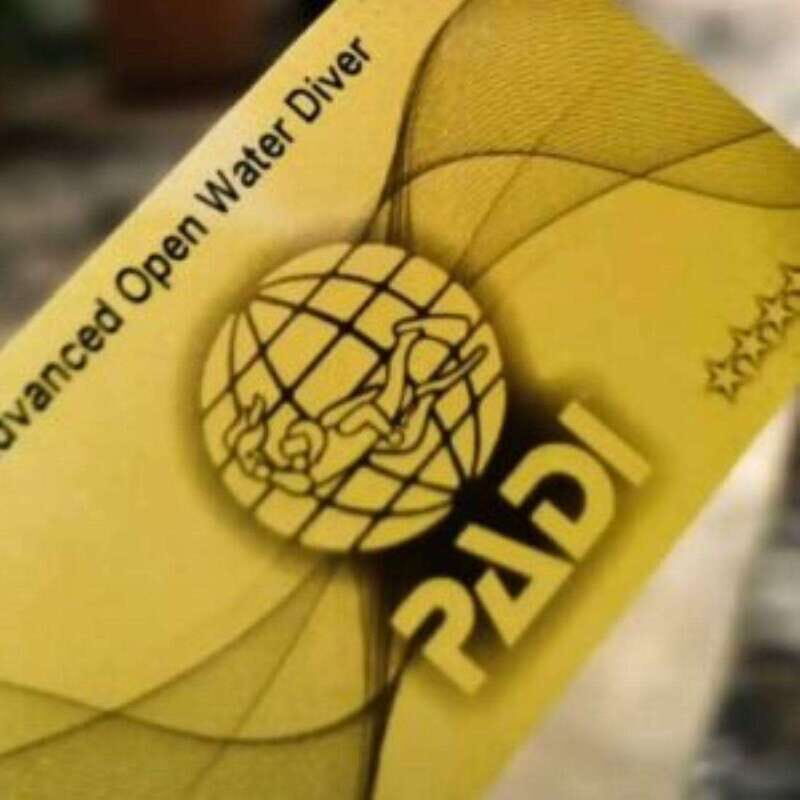 Cancun: Rescue Diver Course - Why This Course is Worth It