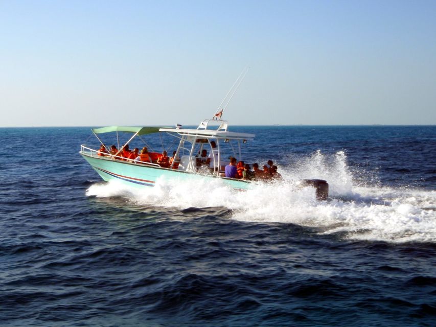 Cancun & Riviera Maya: Swim With Whale Sharks Tour W/ Lunch - Duration and Pick-up/Drop-off Locations