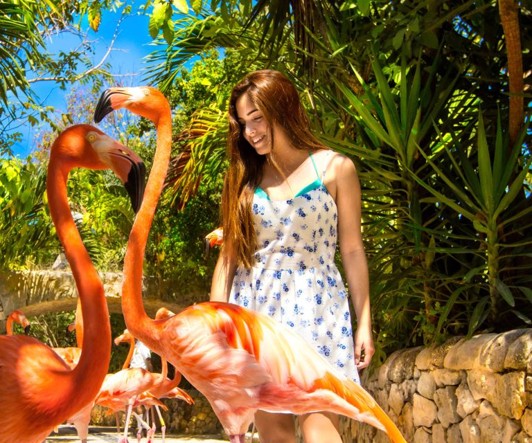 Cancun & Riviera Maya: Xcaret Plus & Chichen Itza 2-Day Combo - Cultural Performances at Xcaret
