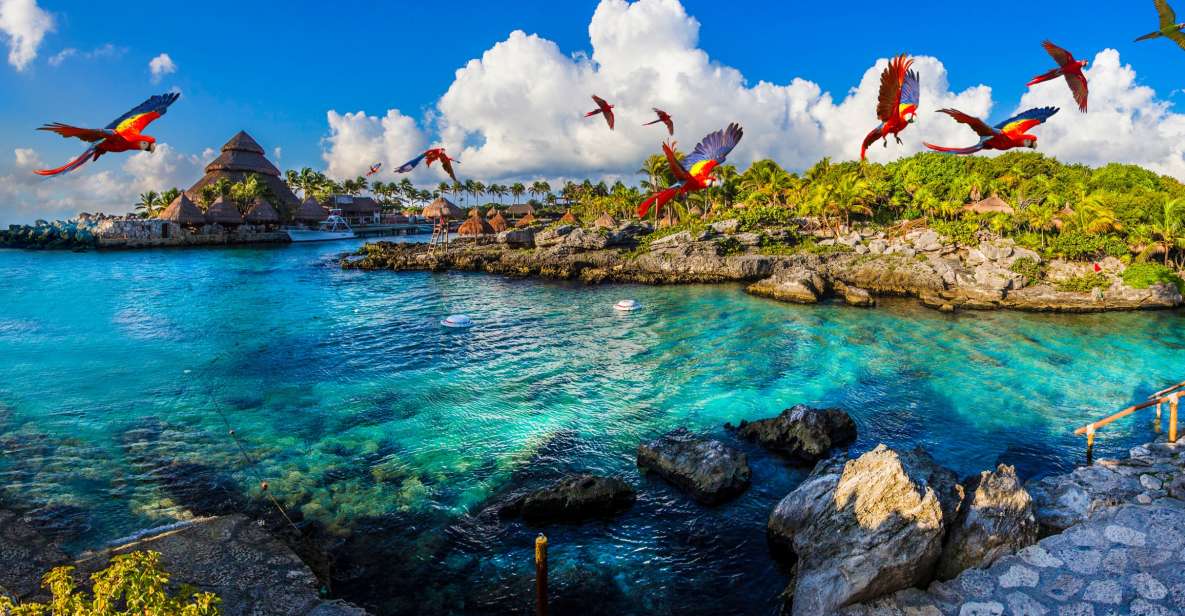 Cancun & Riviera Maya: Xcaret & Xplor Parks With Transport - Attractions and Inclusions at Xcaret