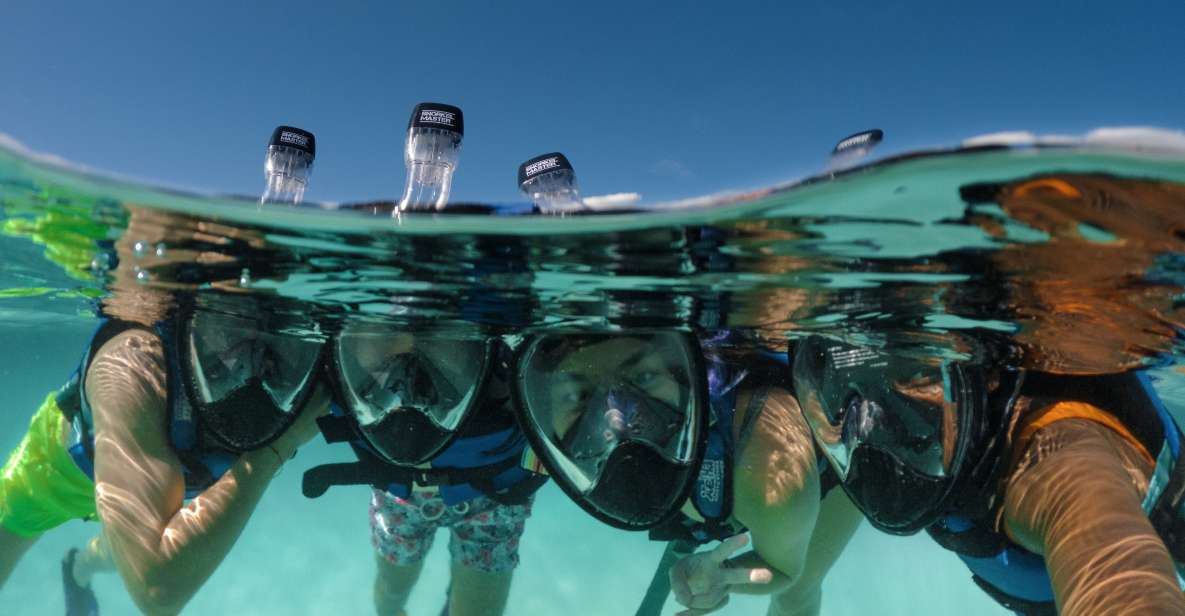 Cancun & Riviera Maya: Xel-Há All-Inclusive & Transportation - Thrilling Activities at Xel-Há