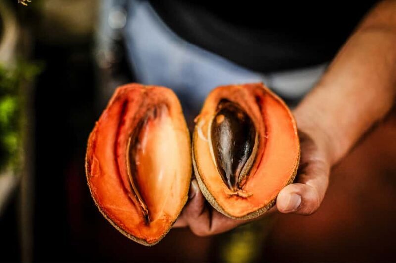 Cancún: Salsa Streets Food Tour with 15+ Tastings - What Past Participants Say